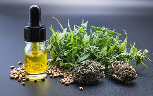 3 Facts On The Research Of CBD For Diabetes